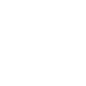 animation-icon